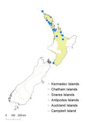 Veronica javanica distribution map based on databased records at AK, CHR & WELT.
 Image: K.Boardman © Landcare Research 2022 CC-BY 4.0